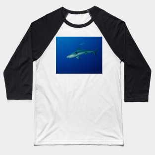 Caribbean Reef Shark Baseball T-Shirt